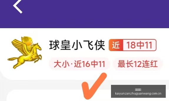 荣耀电竞新,电竞元素惊,艳亮相,开云赞助,体育品牌赞助,赛事合作资讯,足球赞助平台,体育营销信息